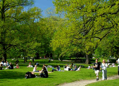 slottskogen