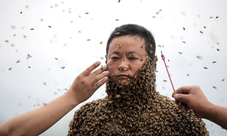 Beekeeper covered in 468,000 bees during record attempt, Chongqing, China - 09 Apr 2014