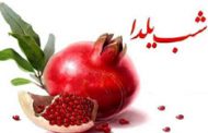 دهمین جشن یلدای انجمن ستین برگزار شد